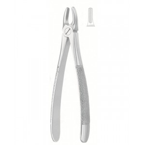 Extracting Forceps, English Pattern